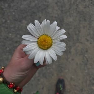 Meet your Posher, Briana